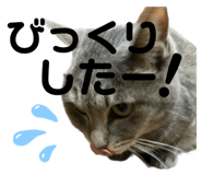 662838305