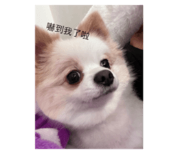 662842590