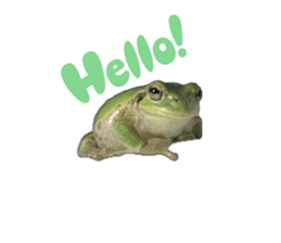 662854871