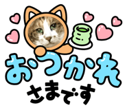 662885335