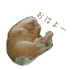 662894841