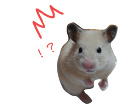 662894850