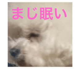 662895119
