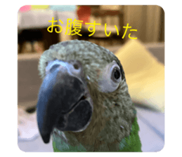 662895815