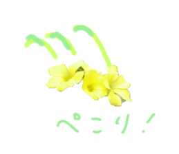 662906152