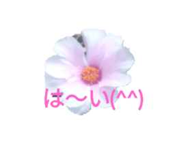 662906158