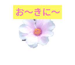 662906171