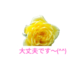 662906186
