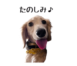 662906392