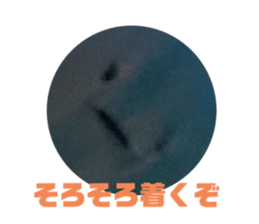 662943913