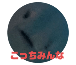 662943918