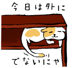 6629528