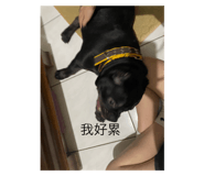 662953246