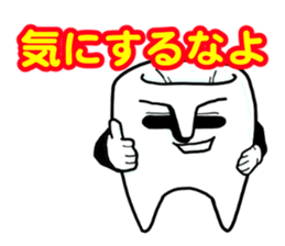 6629808