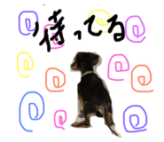 66298789