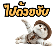 662993997