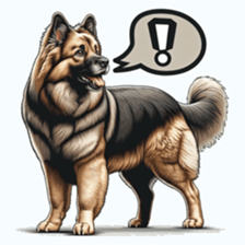 663004918