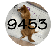663013396
