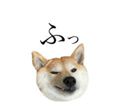 663039285