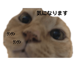 663217922