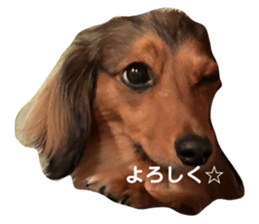 663219348