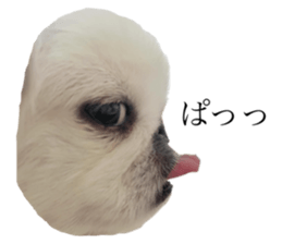 663220349