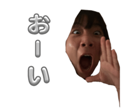 663234081