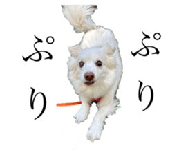 663234086