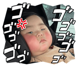 663254301