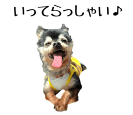 663265411