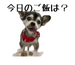 663265416