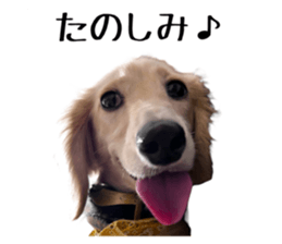 663265418