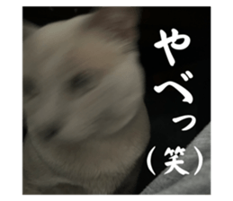663288898