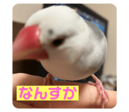 663304962