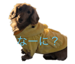 663323569