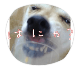 663325315
