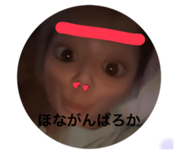 663327374