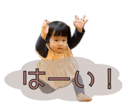 663331304