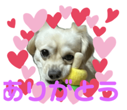 663335545