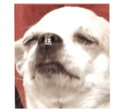 663338730