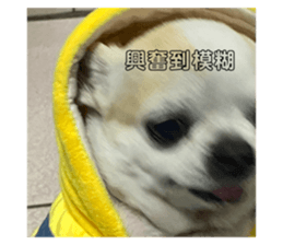 663338732