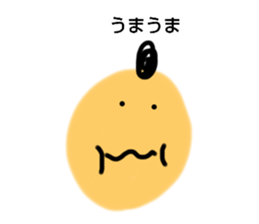 663344864
