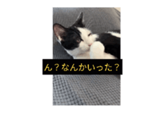 663364984