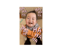 663366265