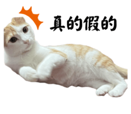 663374899