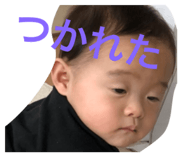 66337666