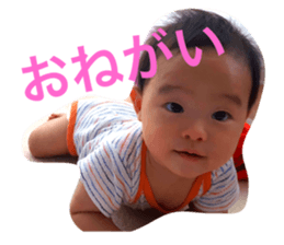 66337672