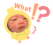 663378239
