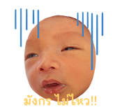 663378242