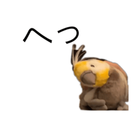 663381654